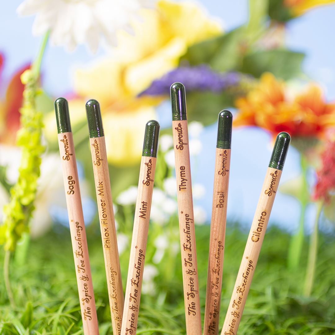 planting seed pencils Herb Garden Pencils