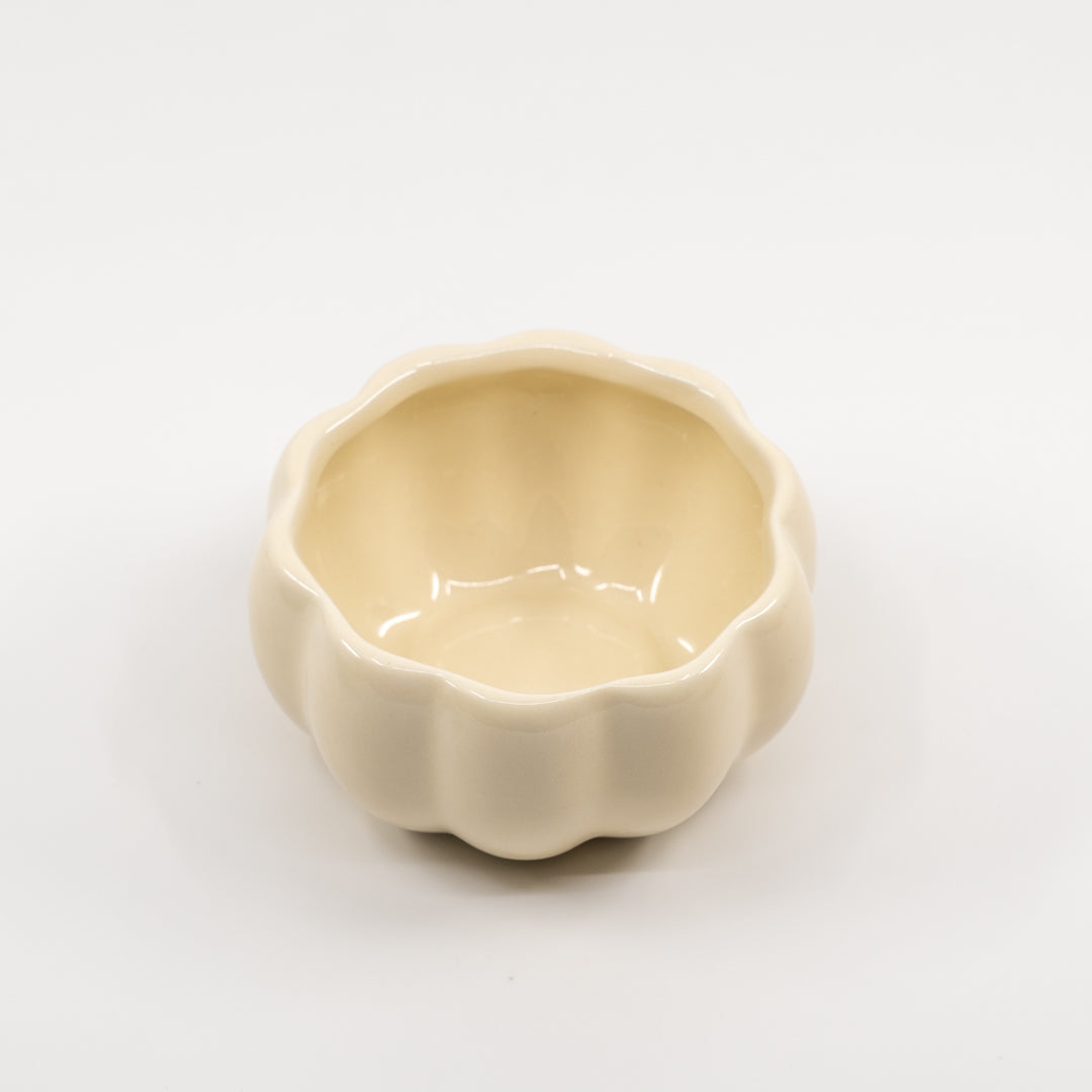 White pumpkin bowl.