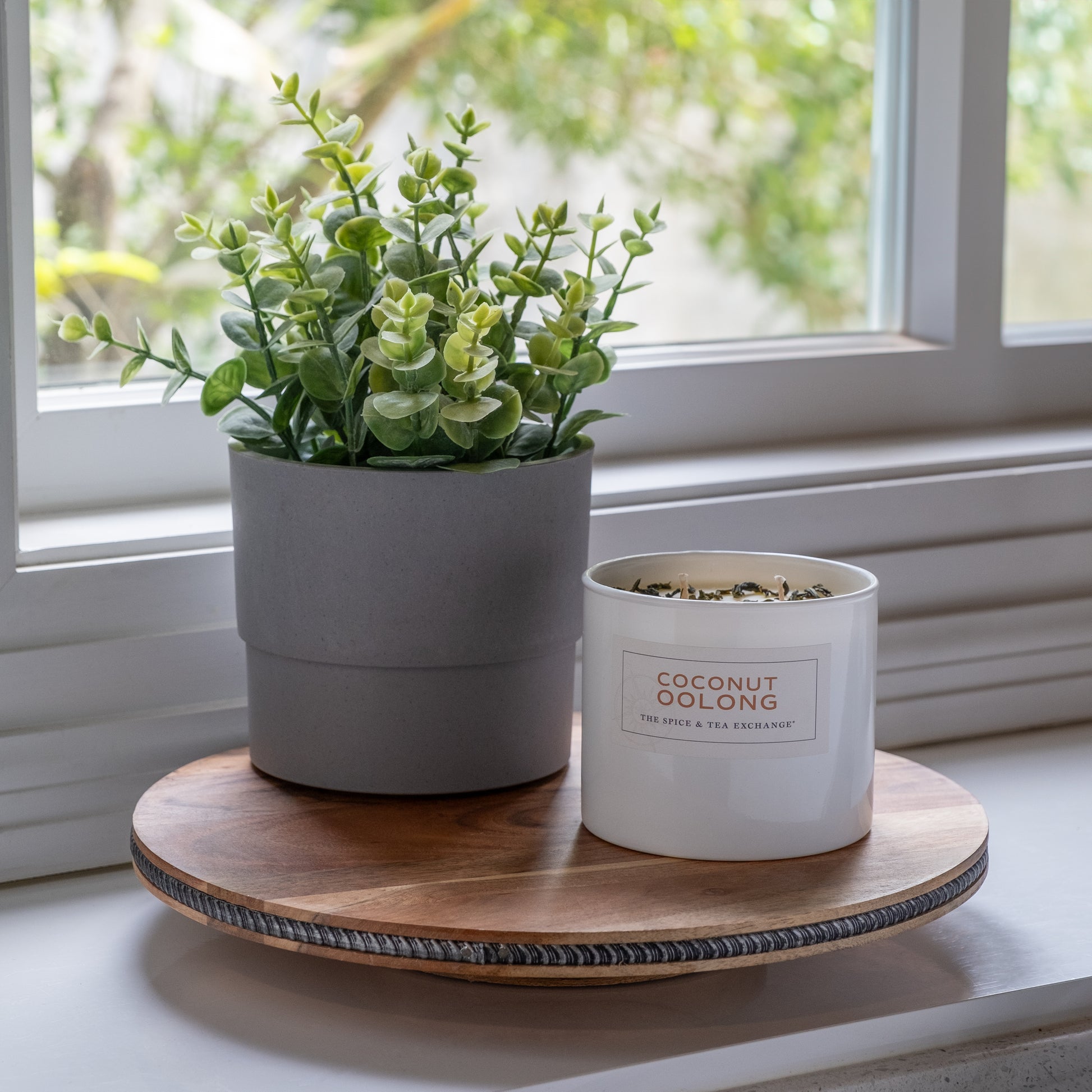 A small potted plant and a hand-poured Coconut Oolong Candle sit on a round wooden tray on a windowsill, with daylight streaming through the window behind them.