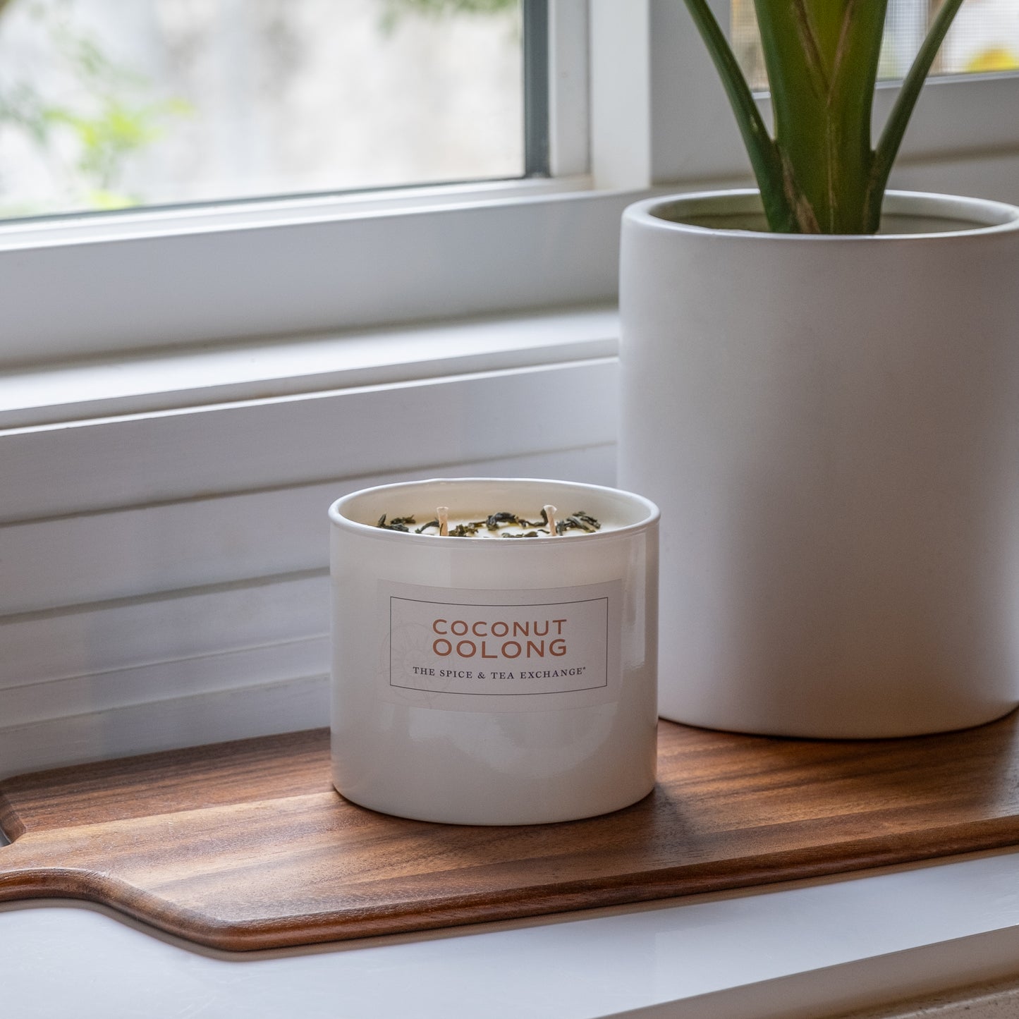 A Coconut Oolong Candle sits on a wooden tray by the window next to a white planter, featuring a hand-poured, USA-made candle infused with essential coconut oils.