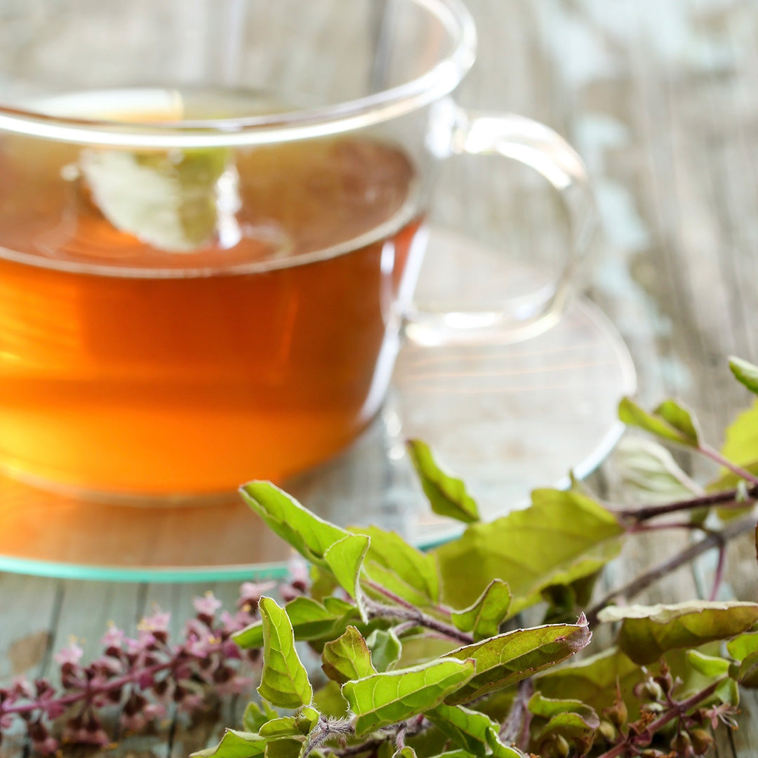 Organic Holy Basil Herbal Tea – The Spice & Tea Exchange