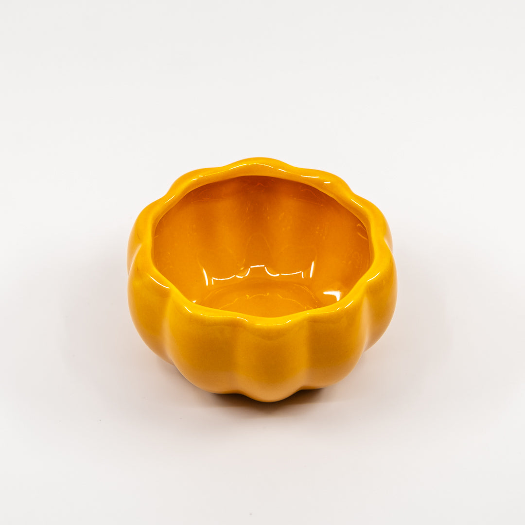 Orange pumpkin bowl.