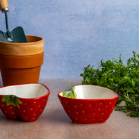 Two Strawberry Bowls surrounded by carrots and pots for plants and gardening gloves