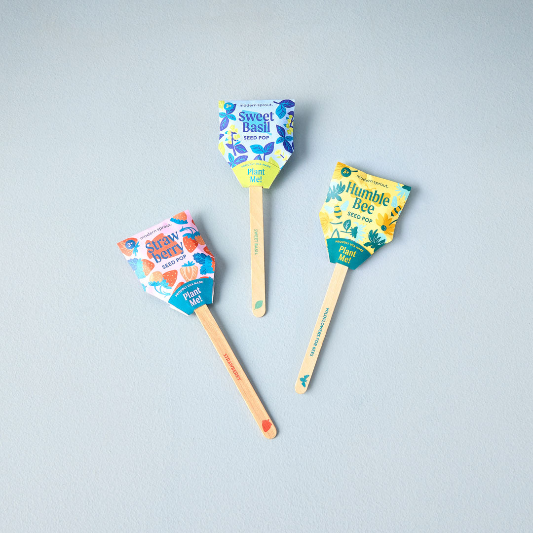 strawberry seed pop Seed Pops (Strawberry, Sweet Basil, Humble Bee) Humble Bee